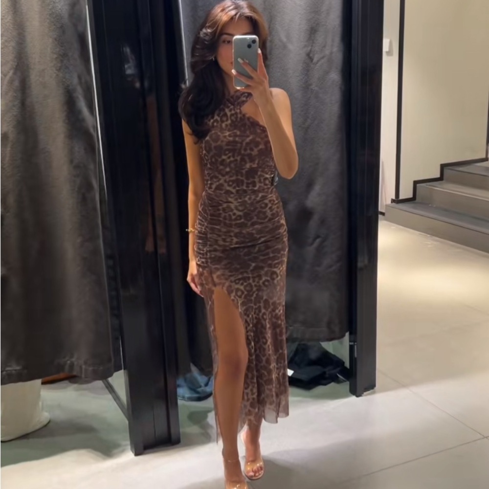 Zara Brown Leopard Print Midi Dress